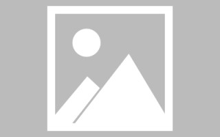 商洛斑马网站高清素材视频（斑马视频最新版）